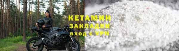 гидра Бородино