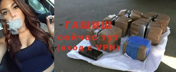 гидра Бородино