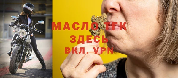 гидра Бородино