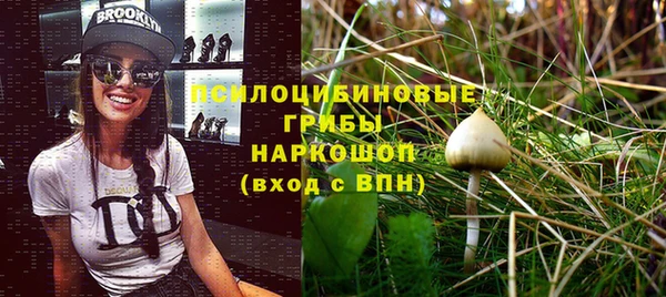 винт Бугульма