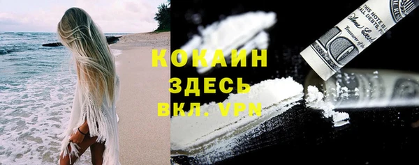 гидра Бородино