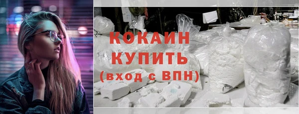 гидра Бородино