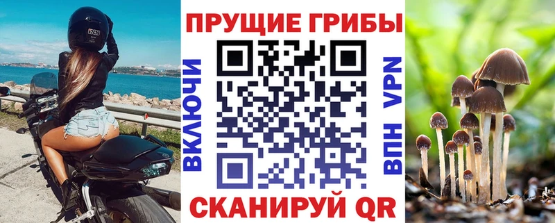 Галлюциногенные грибы прущие грибы  где купить наркоту  Нижнекамск 