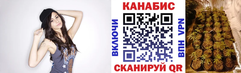 цены   Нижнекамск  Конопля SATIVA & INDICA 